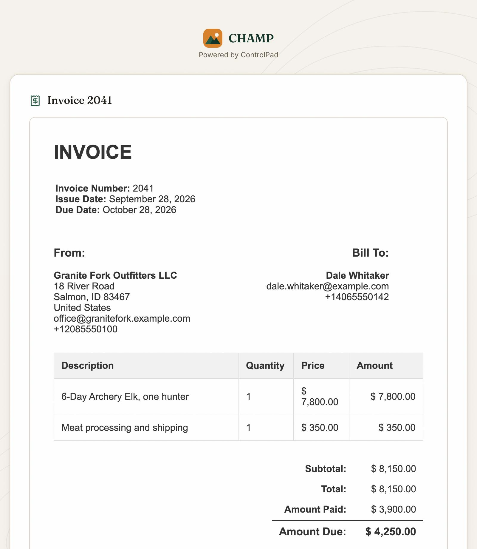 Invoice as a client sees it from a link, showing line items and the amount due
